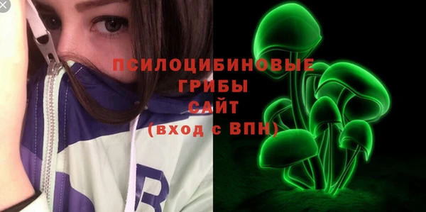 Альфа ПВП Алзамай