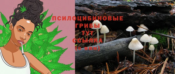 Альфа ПВП Алзамай