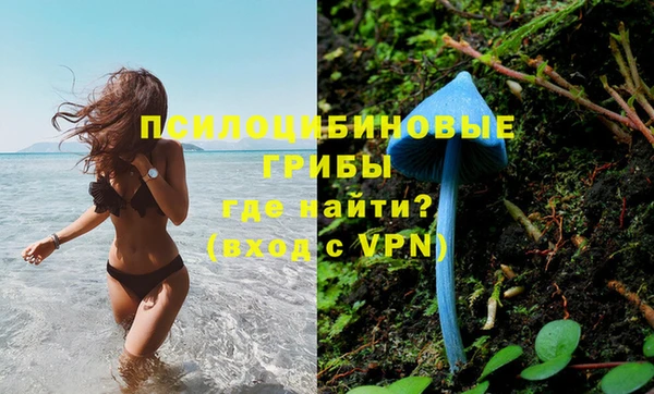 Альфа ПВП Алзамай