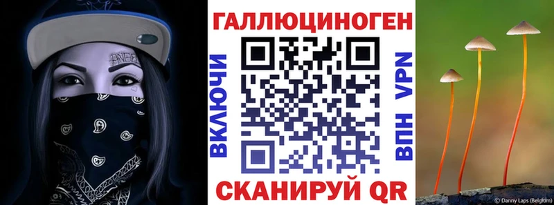 darknet формула  Чишмы  Псилоцибиновые грибы Cubensis  мега ссылка 